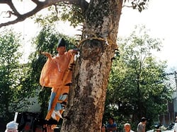 鎌祭り